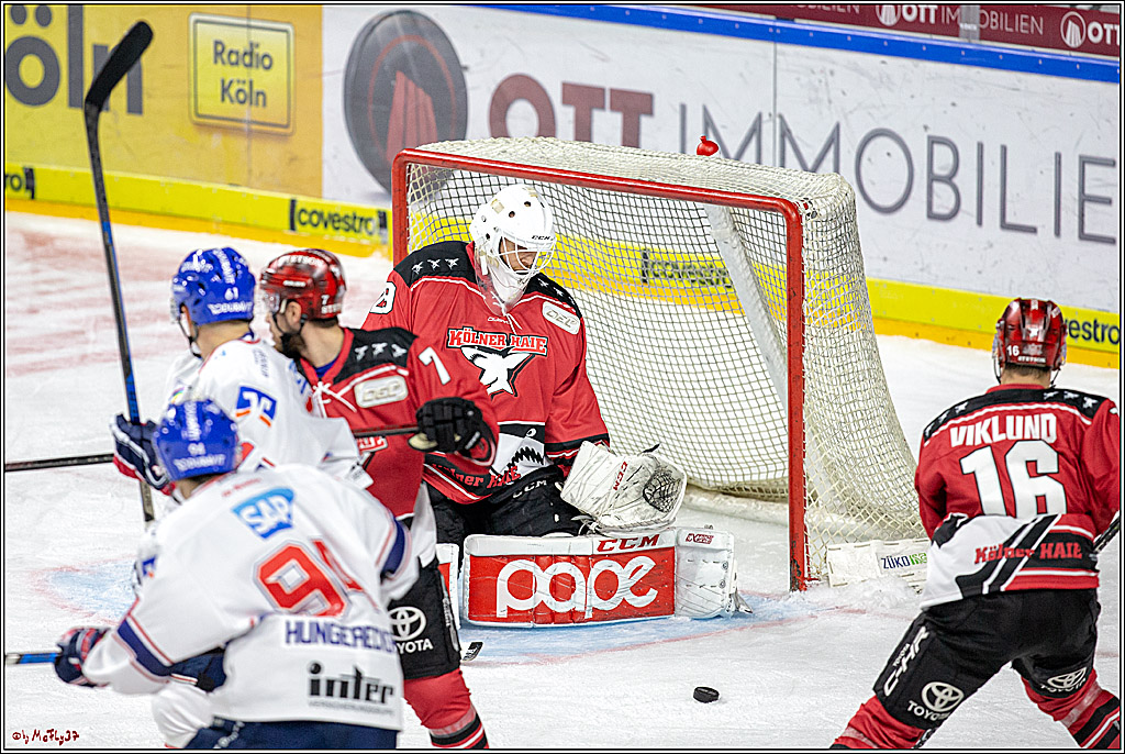 DEL; Koelner Haie - Adler Mannheim, 14.10.2018
